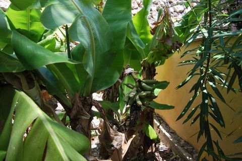 Villa i Salobrena, Granada, Salobrena - € 1.190.000 | Ref: 1806 - foto 36