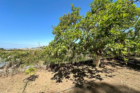 Villa i Motril, Granada, Motril - € 780.000 | Ref: 5012 - foto 33
