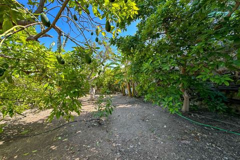 Villa i Motril, Granada, Motril - € 780.000 | Ref: 5012 - foto 35