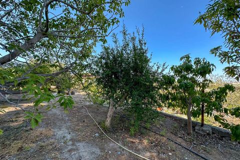 Villa i Motril, Granada, Motril - € 780.000 | Ref: 5012 - foto 39