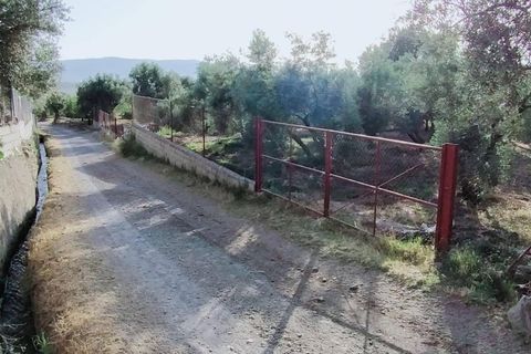 Tomt i Niguelas, Granada, Niguelas - € 80 000 | Ref: 2058 - foto 2