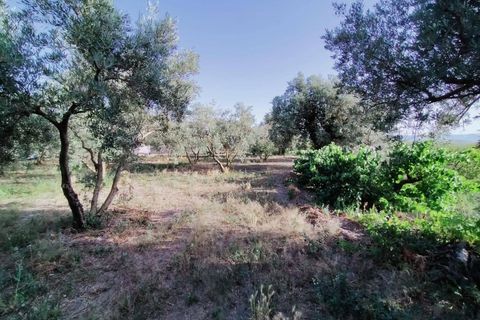Tomt i Niguelas, Granada, Niguelas - € 80 000 | Ref: 2058 - foto 7