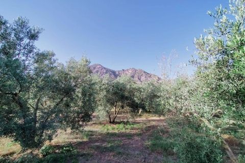 Tomt i Niguelas, Granada, Niguelas - € 80 000 | Ref: 2058 - foto 9