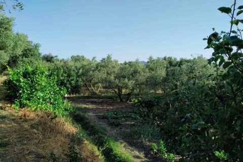 Tomt i Niguelas, Granada, Niguelas - € 80 000 | Ref: 2058 - foto 10