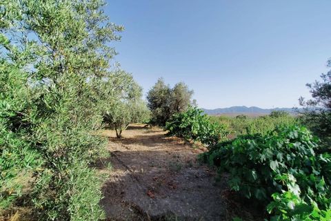 Tomt i Niguelas, Granada, Niguelas - € 80 000 | Ref: 2058 - foto 12