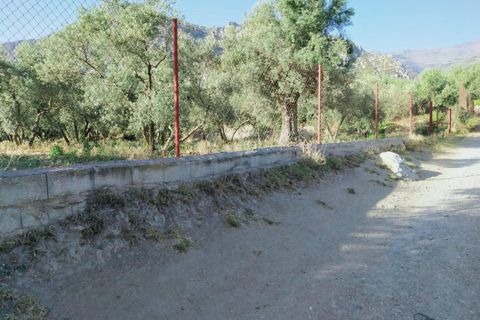 Tomt i Niguelas, Granada, Niguelas - € 80 000 | Ref: 2058 - foto 21