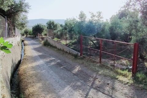 Tomt i Niguelas, Granada, Niguelas - € 80 000 | Ref: 2058 - foto 22