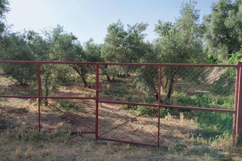 Tomt i Niguelas, Granada, Niguelas - € 80 000 | Ref: 2058 - foto 23