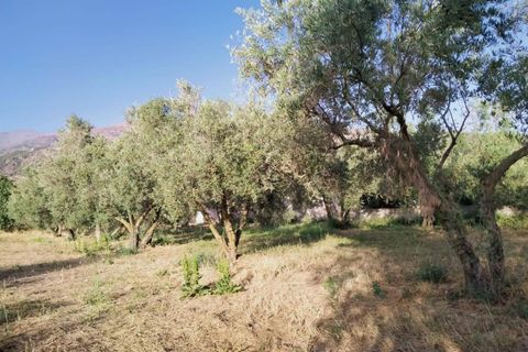Tomt i Niguelas, Granada, Niguelas - € 35 000 | Ref: 2059 - foto 4
