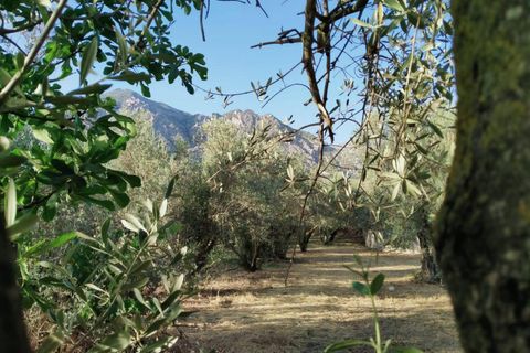 Tomt i Niguelas, Granada, Niguelas - € 35 000 | Ref: 2059 - foto 6