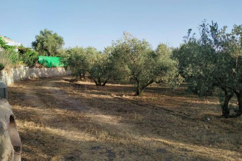 Tomt i Niguelas, Granada, Niguelas - € 35 000 | Ref: 2059 - foto 7