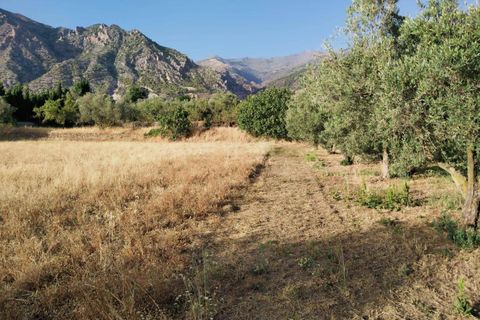 Tomt i Niguelas, Granada, Niguelas - € 35 000 | Ref: 2059 - foto 13