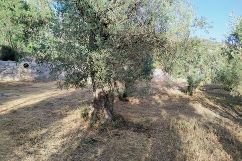 Tomt i Niguelas, Granada, Niguelas - € 35 000 | Ref: 2059 - foto 15