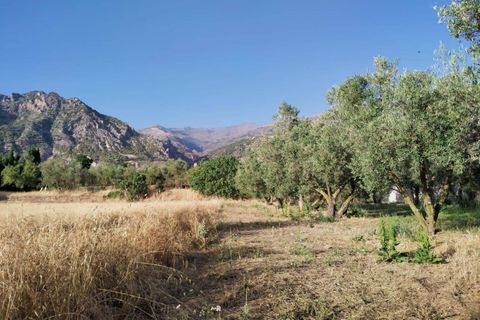 Tomt i Niguelas, Granada, Niguelas - € 35 000 | Ref: 2059 - foto 16