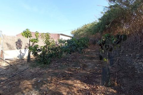 Villa i Motril, Granada, Motril - € 784.900 | Ref: 5016 - foto 38