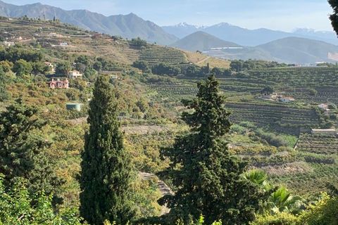 Helårsgrund i Salobrena, Granada, Salobrena - € 170.000 | Ref: 2074 - foto 2