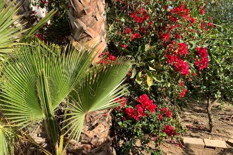 Helårsgrund i Salobrena, Granada, Salobrena - € 170.000 | Ref: 2074 - foto 5