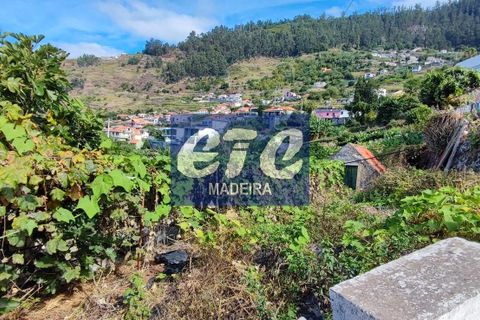 Byhus i Calheta, Madeira, Calheta - € 330.000 | Ref: etcpo - foto 10
