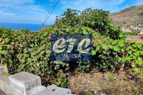 Byhus i Calheta, Madeira, Calheta - € 330.000 | Ref: etcpo - foto 11