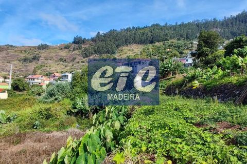 Byhus i Calheta, Madeira, Calheta - € 330.000 | Ref: etcpo - foto 12