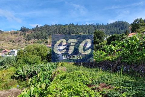 Byhus i Calheta, Madeira, Calheta - € 330.000 | Ref: etcpo - foto 13