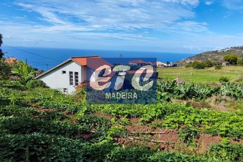 Byhus i Calheta, Madeira, Calheta - € 330.000 | Ref: etcpo - foto 14