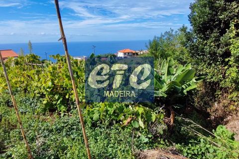 Byhus i Calheta, Madeira, Calheta - € 330.000 | Ref: etcpo - foto 15