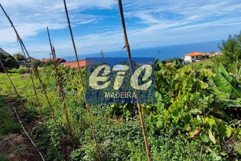 Byhus i Calheta, Madeira, Calheta - € 330.000 | Ref: etcpo - foto 16