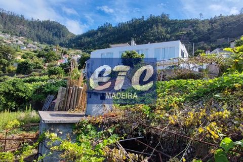 Byhus i Calheta, Madeira, Calheta - € 330.000 | Ref: etcpo - foto 27