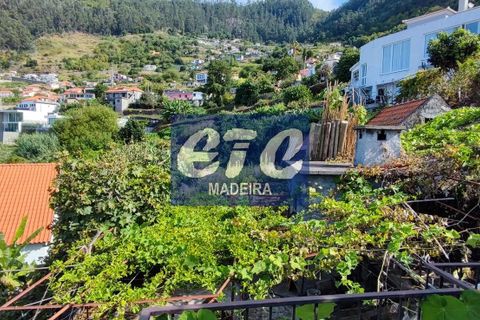 Byhus i Calheta, Madeira, Calheta - € 330.000 | Ref: etcpo - foto 26