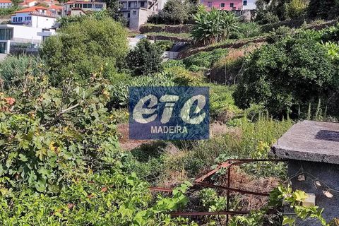 Byhus i Calheta, Madeira, Calheta - € 330.000 | Ref: etcpo - foto 28