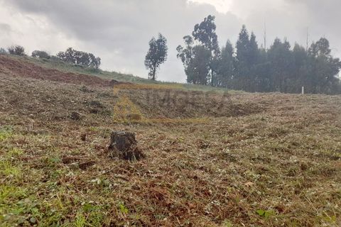 Helårsgrund i Bela, Viana do Castelo, Bela - € 30.000 | Ref: REF346 - foto 3