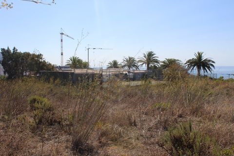 Helårsgrund i Luz, Faro, Luz - € 2.190.000 | Ref: TER_51384 - foto 15