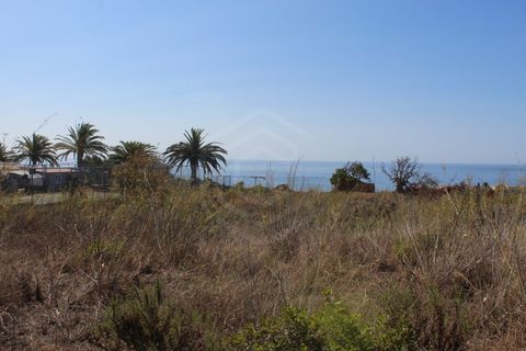 Helårsgrund i Luz, Faro, Luz - € 2.190.000 | Ref: TER_51384 - foto 16