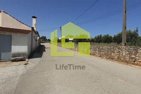 Helårsgrund i Ansiao, Leiria, Ansiao - € 17.000 | Ref: LT1082 - foto 9