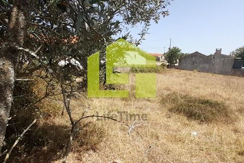 Helårsgrund i Ansiao, Leiria, Ansiao - € 17.000 | Ref: LT1082 - foto 12