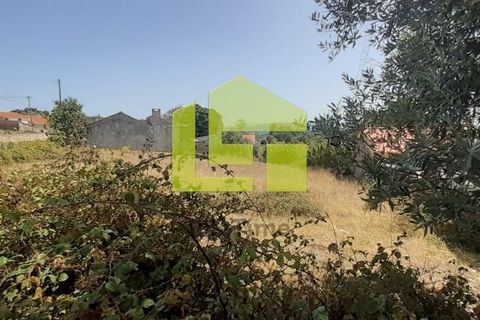 Helårsgrund i Ansiao, Leiria, Ansiao - € 17.000 | Ref: LT1082 - foto 13