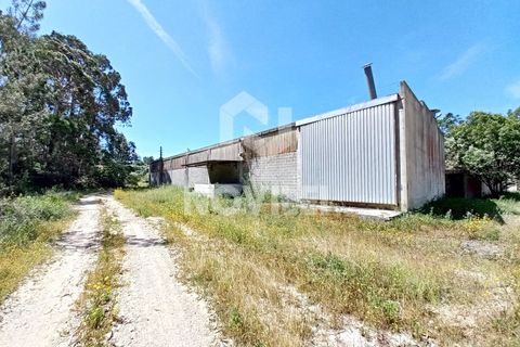 Erhvervsejendom i Gondemaria e Olival, Santarem, Gondemaria e Olival - € 310.000 | Ref: 4202 - foto 3