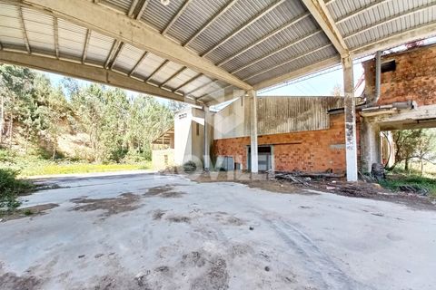 Erhvervsejendom i Gondemaria e Olival, Santarem, Gondemaria e Olival - € 310.000 | Ref: 4202 - foto 4
