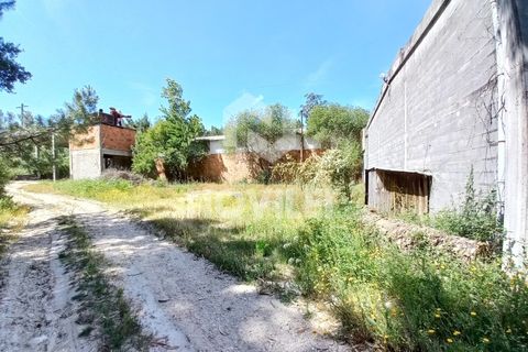 Erhvervsejendom i Gondemaria e Olival, Santarem, Gondemaria e Olival - € 310.000 | Ref: 4202 - foto 5