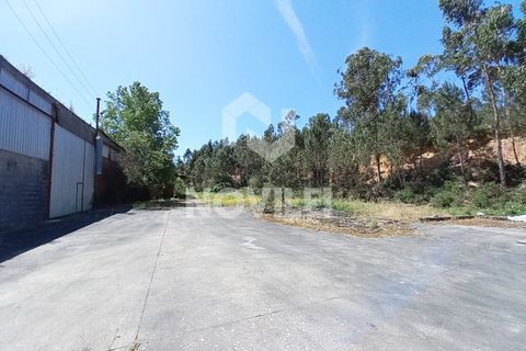 Erhvervsejendom i Gondemaria e Olival, Santarem, Gondemaria e Olival - € 310.000 | Ref: 4202 - foto 8