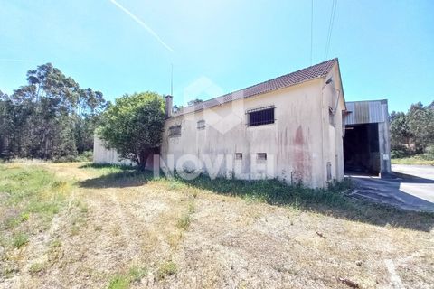 Erhvervsejendom i Gondemaria e Olival, Santarem, Gondemaria e Olival - € 310.000 | Ref: 4202 - foto 10