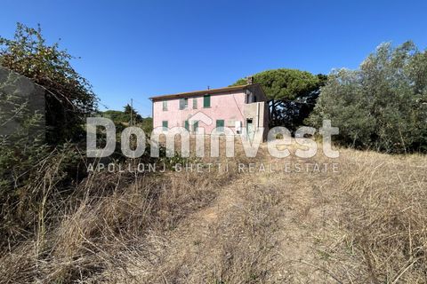 Landejendom i Capalbio, Grosseto, Capalbio - € 1.100.000 | Ref: D-GIARDINO - foto 2