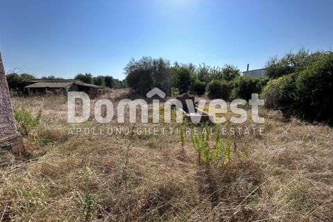 Landejendom i Capalbio, Grosseto, Capalbio - € 1.100.000 | Ref: D-GIARDINO - foto 7