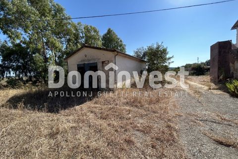 Landejendom i Capalbio, Grosseto, Capalbio - € 1.100.000 | Ref: D-GIARDINO - foto 10