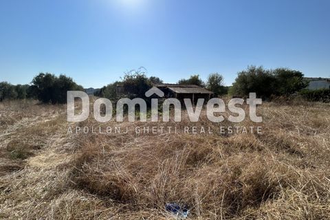 Landejendom i Capalbio, Grosseto, Capalbio - € 1.100.000 | Ref: D-GIARDINO - foto 11