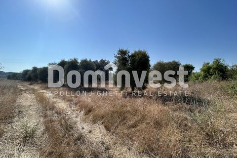 Landejendom i Capalbio, Grosseto, Capalbio - € 1.100.000 | Ref: D-GIARDINO - foto 12