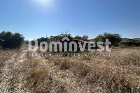 Landejendom i Capalbio, Grosseto, Capalbio - € 1.100.000 | Ref: D-GIARDINO - foto 13