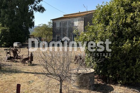 Landejendom i Capalbio, Grosseto, Capalbio - € 1.100.000 | Ref: D-GIARDINO - foto 15