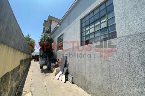 Villa i Maia, Porto, Maia - € 550.000 | Ref: TC1435 - foto 23